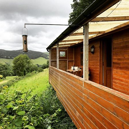 Cabin Pren , Darowen , Machynlleth Daire Dış mekan fotoğraf