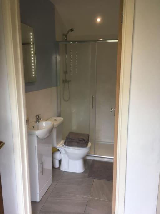 Cabin Pren , Darowen , Machynlleth Daire Dış mekan fotoğraf