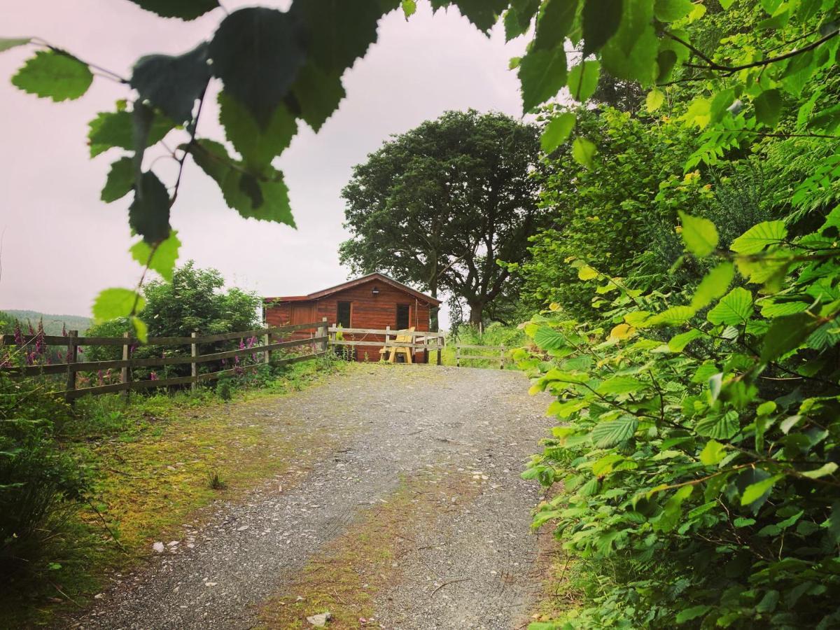 Cabin Pren , Darowen , Machynlleth Daire Dış mekan fotoğraf